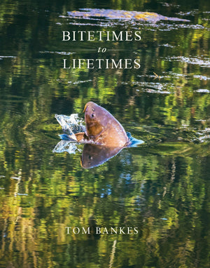 BITETIMES TO LIFETIMES By Tom Bankes