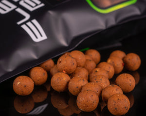 Elevate Baits Spicy Chorizo Boilie